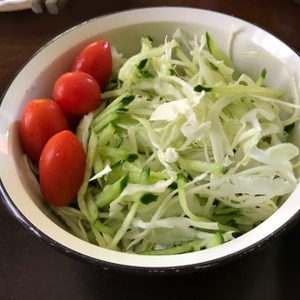 キャベツときゅうりとトマトのサラダ